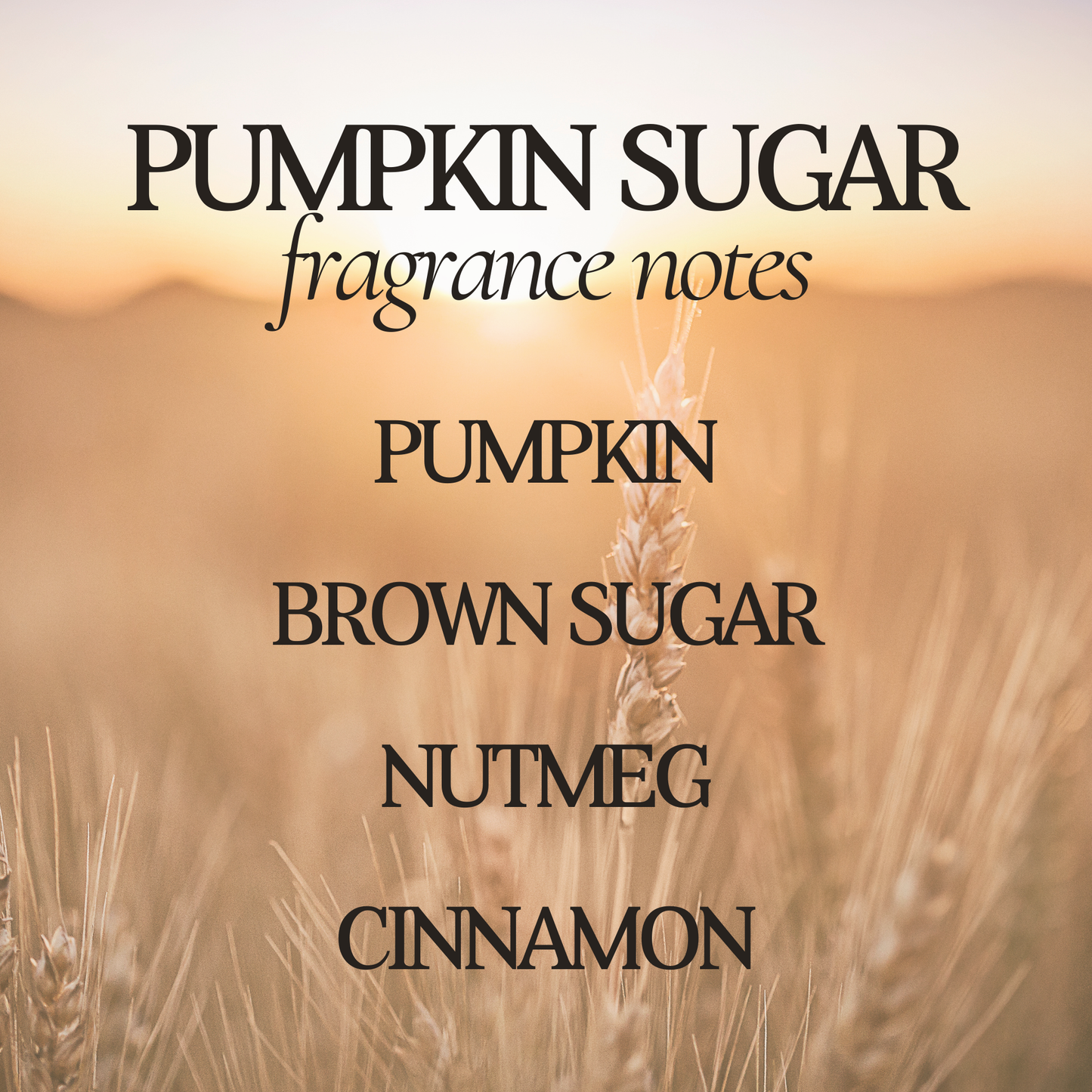 Pumpkin Sugar Soy Candle - 9 oz