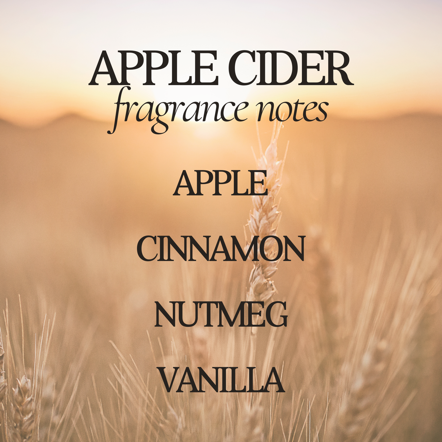Apple Cider Double Wick Soy Candle - 12 oz