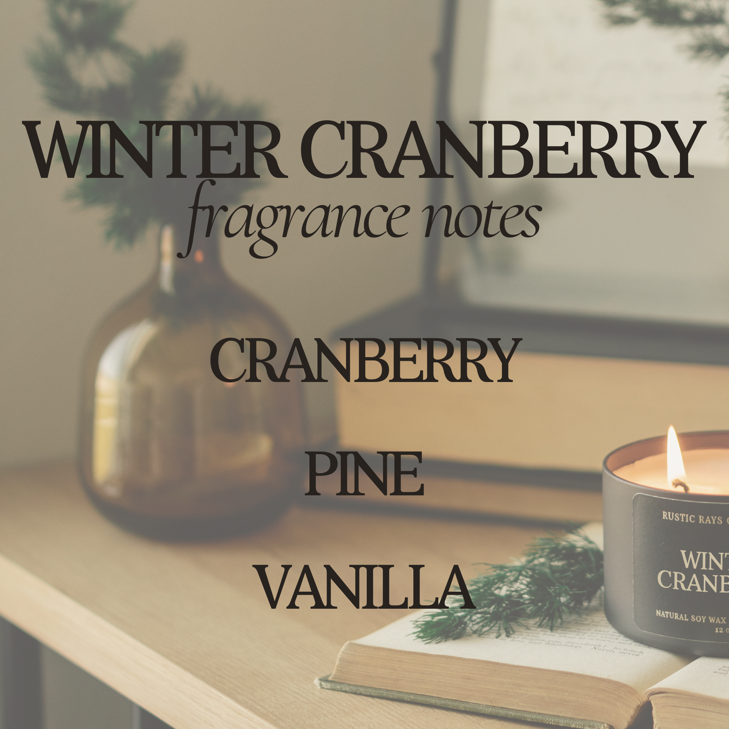 Winter Cranberry Double Wick Soy Candle - 12 oz