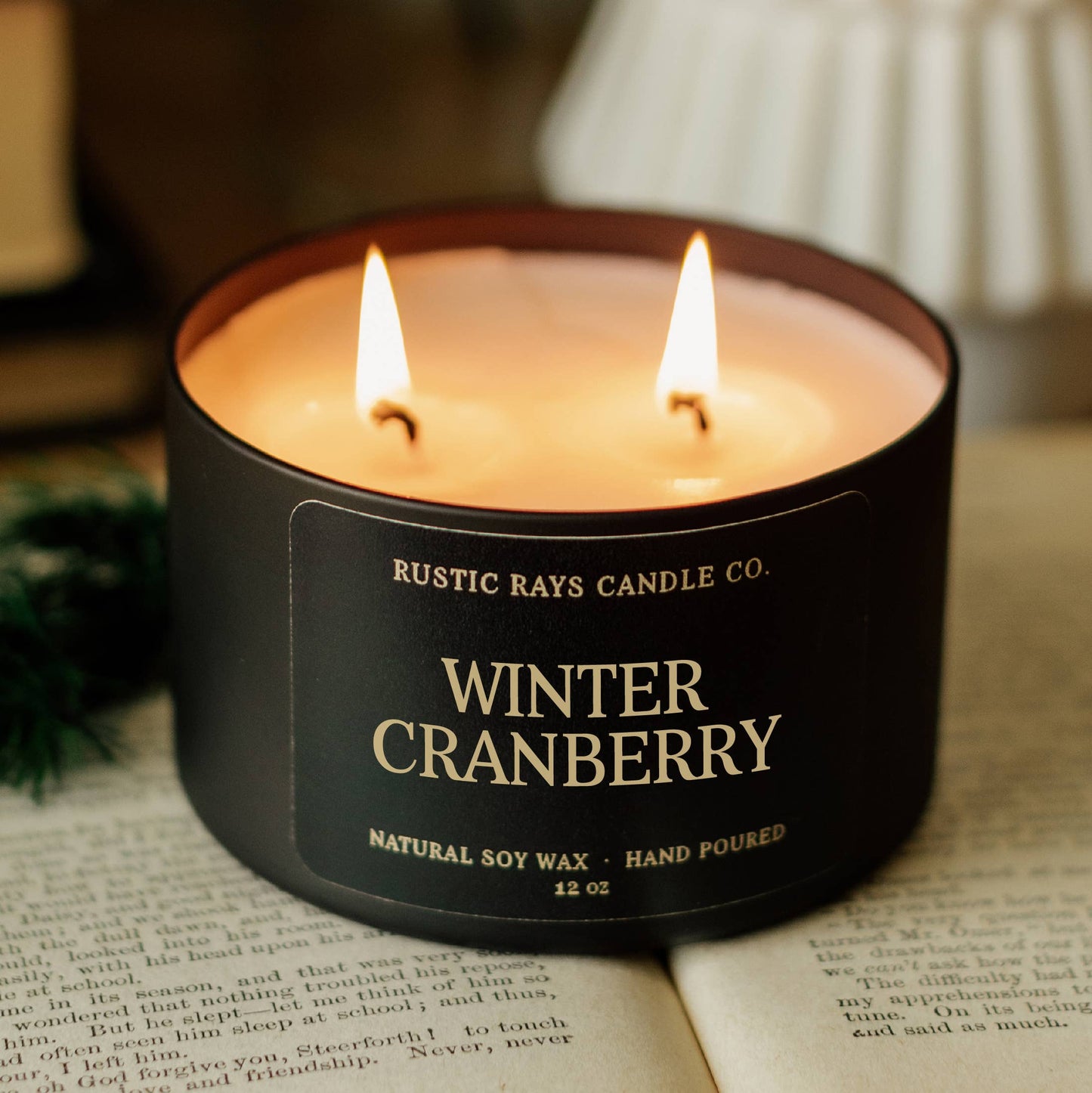 Winter Cranberry Double Wick Soy Candle - 12 oz