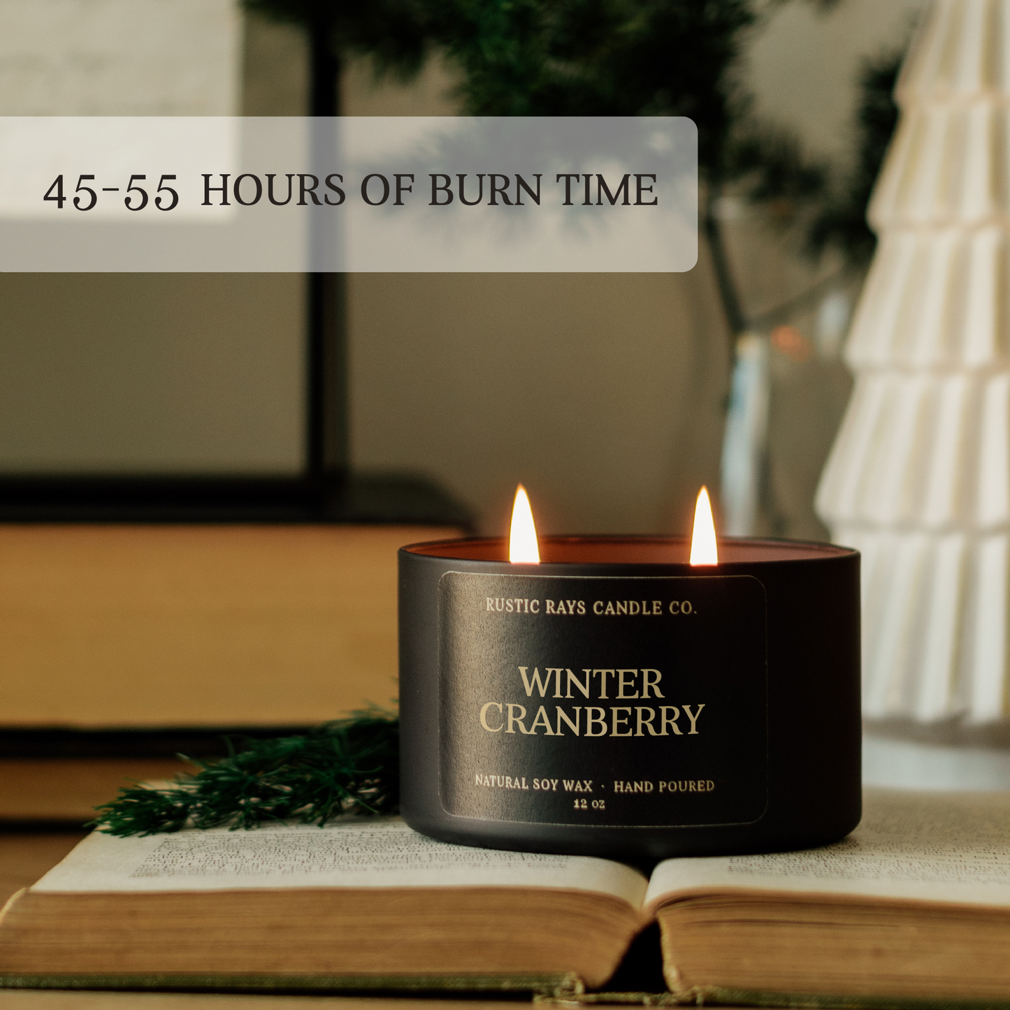 Winter Cranberry Double Wick Soy Candle - 12 oz