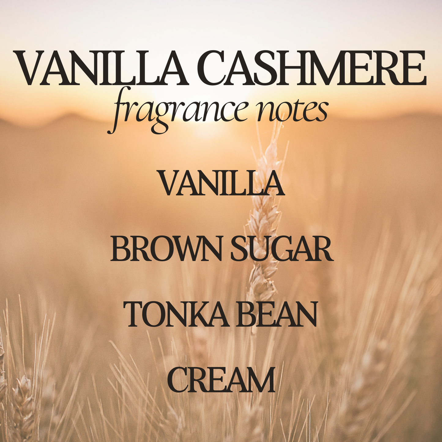 Vanilla Cashmere Double Wick Soy Candle - 12 oz